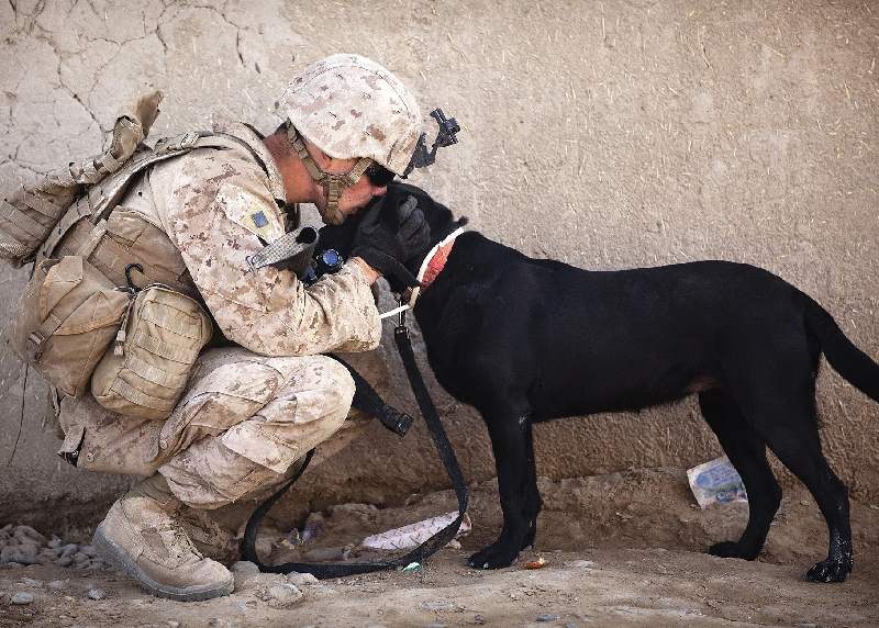 A soldier is petting his dog while he kneels down.